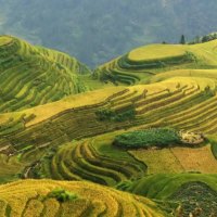 dragons backbone terraces in china