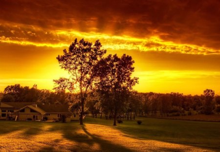 golden sun manor - sky, golden, field, house, tree