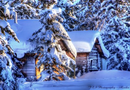 Winter - pretty, magic, snowflakes, snow, light, countryside, holiday, kindness, frost, yard, nice, house, fence, village, frozen, ice, care, new year, deer, warmth, cabin, forest, alleys, home, meet, sky, cottage, mood, trees, winter, beautiful, snowy, roe, girl, lovely, tree, christmas, painting, cold, little, park