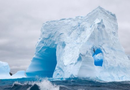 huge antarctic iceberg - iceberg, sea, bird, waves