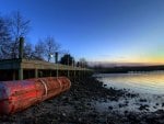 docks at low tide