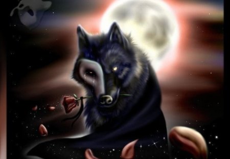 Music of the night - moon, wolf, night, music, fantasy, rose, teardrop