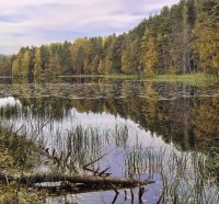 autumn lake