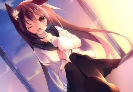 Anime - seifuku, anime, long hair, animal ears