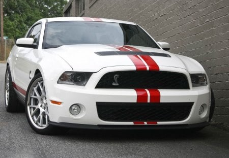 shelby mustang - shelby, mustang, car, road