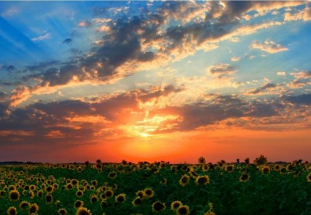 Beautiful Sunset - clouds, sunset, beautiful, sky