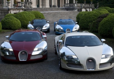 bugatti veyron sport - veyron, sport, cars, bugatti