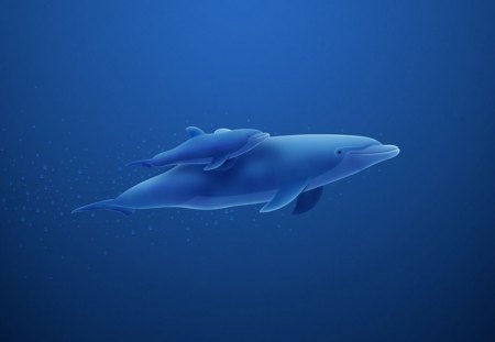 Dolphins - dolphins, nature, water, cute