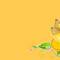 Tangerine Butterfly Dream Wallpaper