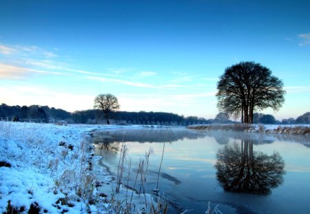 WINTER MIST - nature, mist, landscape, river