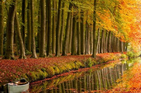 BACK WATER - canal, trees, road, boat