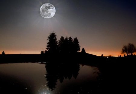 lake in moon light - moon, lake, trees, light