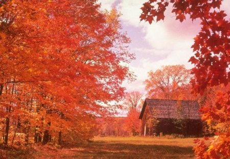 Meadow - meadows, fields, nature, pretty