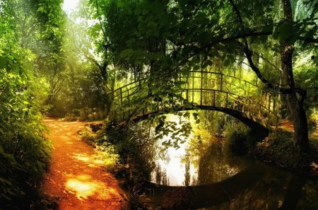 Small Arch Bridge - trees, water, forest, light, daylight, orange, architecture, leaves, path, metal, nature, green, arch, day, bridge