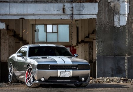 dodge challenger - dodge, challenger, car, road