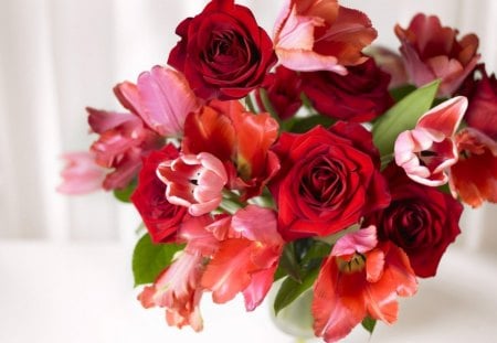 bouquet - bouquet, red, flower, roses