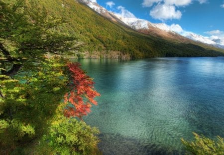 Calm Lake - forest, water, leaves, daylight, blue, lake, sky, land, clouds, orange, trees, nature, mountain, day, green