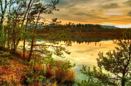 The Golden Lake - multicolor, lagoon, rivers, brown, the golden lake, widescreen, high dynamic range, hdr, plants, nice, amber, beautiful reflections, pond, maroon, gold, colors, natural, laguna, nature, picture, green, lakes, wallpaper, reflections, yellow, blue, amazing, stream, photo, golden lake, surface, creeks, mirror, red, view, golden, trees, water, image, beautiful, photography, photoshop, cool, orange, ambar, reflex, colorful, awesome