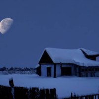Winter Scene