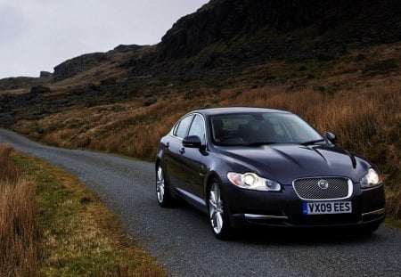 jaguar xf - xf, car, road, jaguar