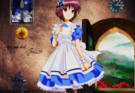 Are You Lost, Alice? - alice, fairytale, wonderland, anime, colorful, classic, fantasy