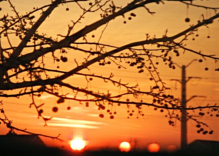 Orange sky - field, nature, sun, sky