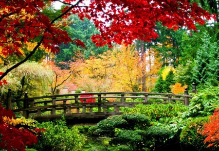 Garden - colorful, trees, autumn, garden, bridge