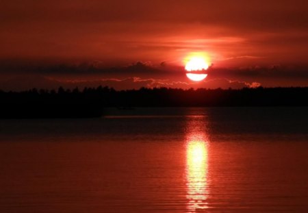 red sunset on a big river - red, reflection, river, trees, sunset