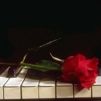 Rose on piano