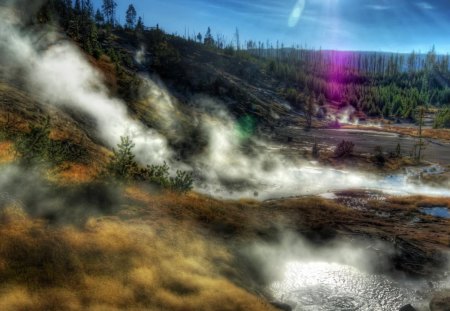 hot springs in yellowstone park - sun rays, hot springs, steam, forest