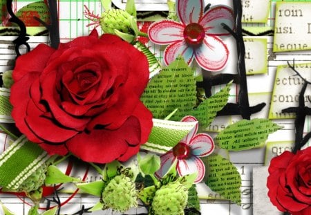 Red Roses on Paper - paper, summer, rose, flowers, spring, leaves, ribbon, bow, newspapers, nature