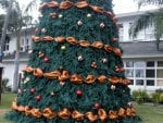 Christmas tree in St. Lucia Island