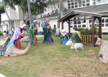 Native display in Aruba - blue, photography, red, green, statues