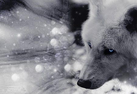 wolf art - wolfrunning, snow, dog, mythical, the pack, wisdom beautiful, grey wolf, timber, canis lupus, abstract, spirit, friendship, howling, grey, white, nature, arctic, wallpaper, majestic, wolf, canine, pack, wild animal black, wolf wallpaper, winter, wolf pack, quotes, howl, wolves, black, lobo, lone wolf, solitude