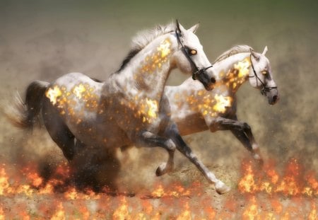 hells fire horses - hells, flame, horses, fire