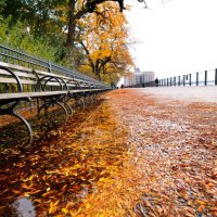 autumn in new york