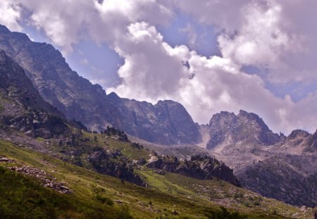 Pyrenees - nature, mountain, trees, cool