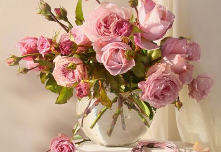 pink roses