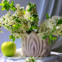 White flowers and apple,