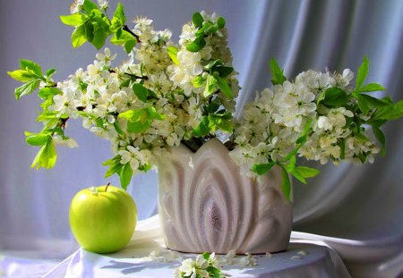 White flowers and apple, - flowers, white, apple, Still life