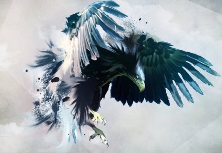 bird of prey - bird of prey, flying, painting, abstract