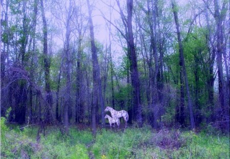 âœ°Splendor in Forestsâœ° - seasons, happy, beautiful, holidays, greetings, amazing, splendid, splendor in forests, horses, white, grasses, fantasy, forests, lost, wonderful, nature, magnificent, purple, spirits, winter, animals, pretty, cool, souls, lovely, splendor, trees, colors, green