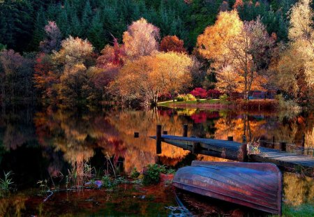 Pier on the Lake - trees, water, boat, forest, reflection, daylight, nature, autumn, lake, day