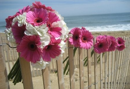 flower decoration - flowers, beach, bouquet, pink, gerbera