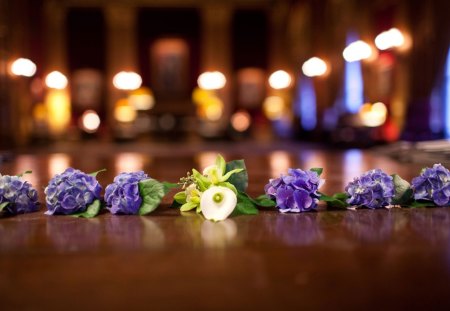 purple - bouquet, purple, lights, hydrangea