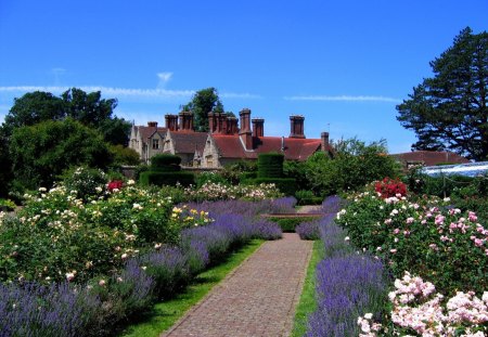 magic beauty - pathway, Sussex, lavander, garden