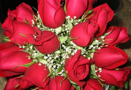 ~ ROSAS ~ - white, red, roses, flowers, romantic