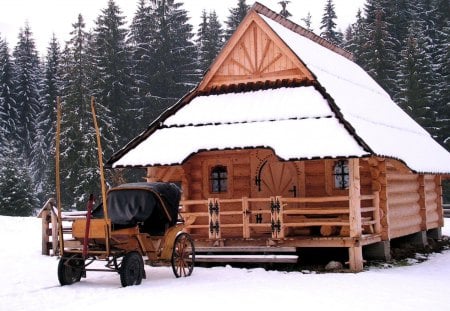 cottage in the mountains - winter, house, zakopane, snow