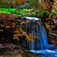 Waterfall in the Fall