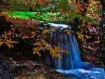 Waterfall in the Fall